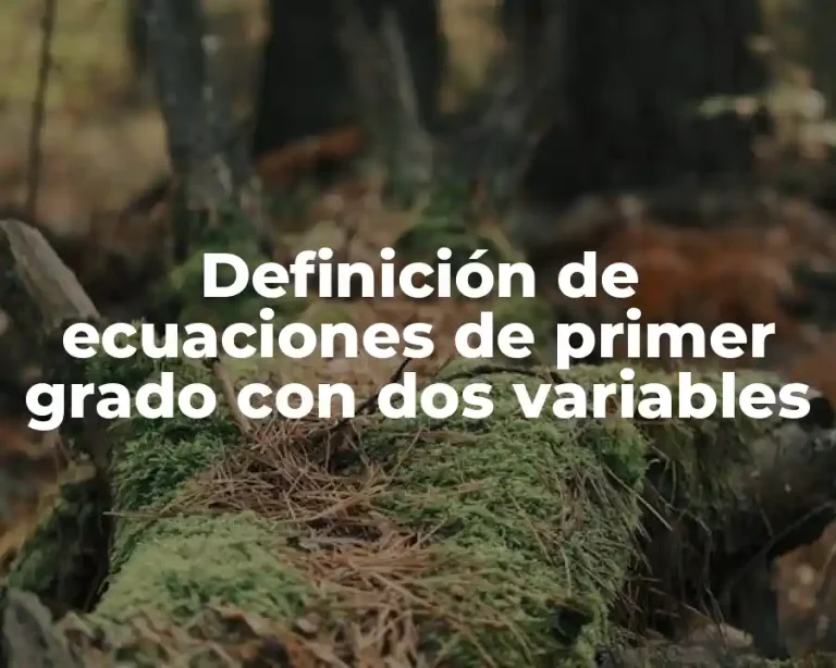 Definición de ecuaciones de primer grado con dos variables