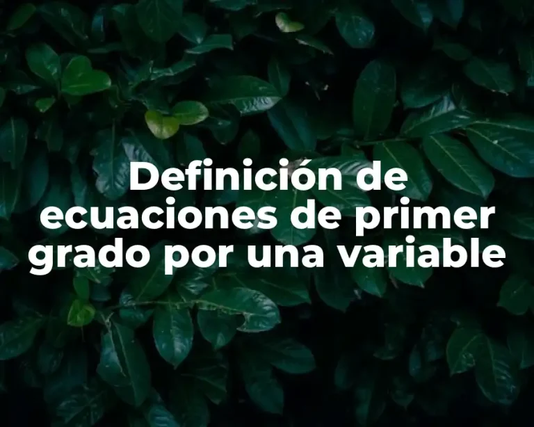 Definición de ecuaciones de primer grado por una variable