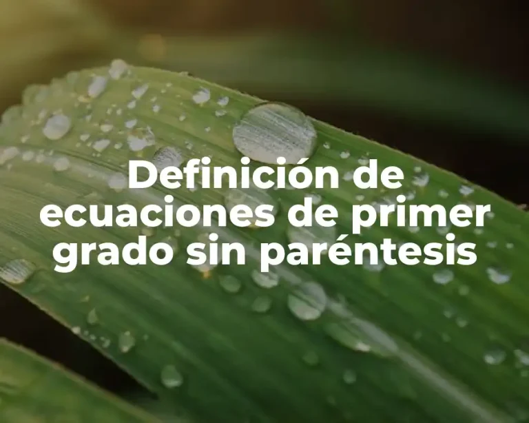 Definición de ecuaciones de primer grado sin paréntesis