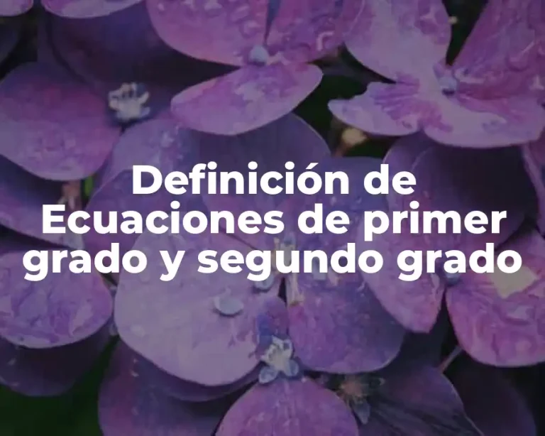 Definición de Ecuaciones de primer grado y segundo grado