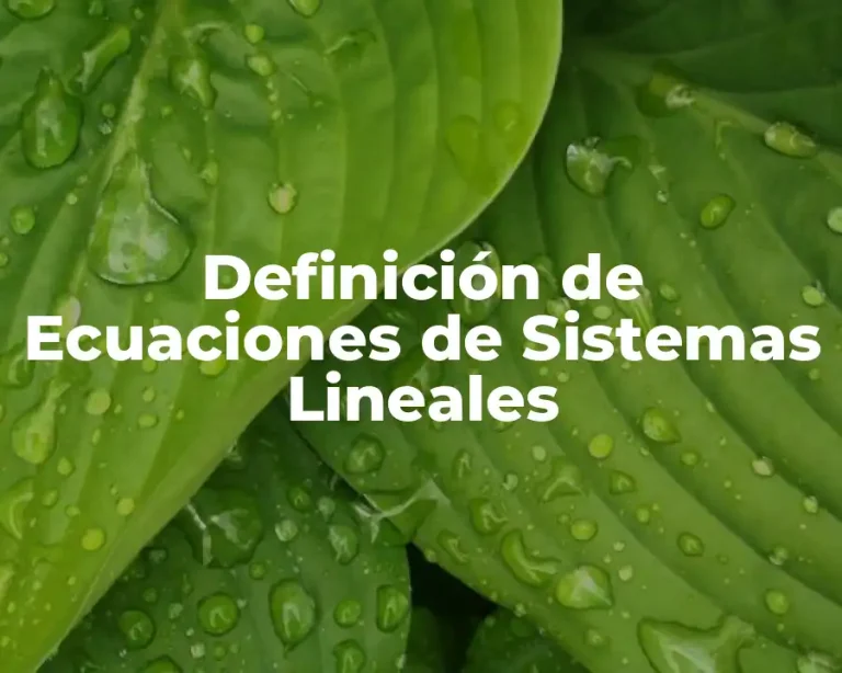Definición de Ecuaciones de Sistemas Lineales