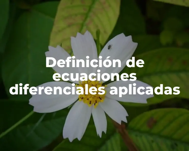 Definición de ecuaciones diferenciales aplicadas