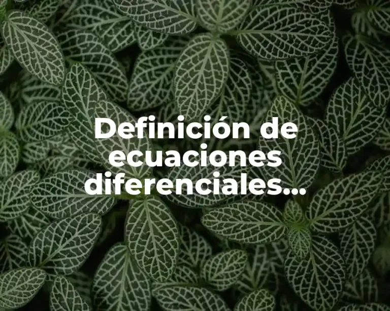 Definición de ecuaciones diferenciales clasificadas en orden tipo y linealidad