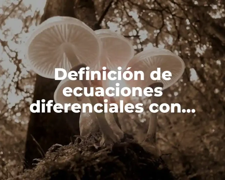 Definición de ecuaciones diferenciales con coeficiente variable