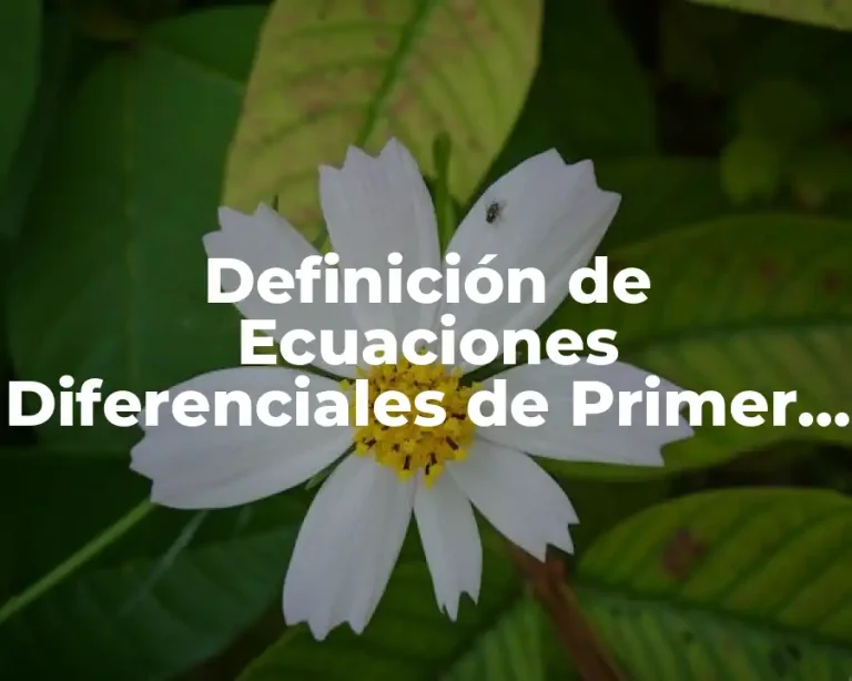Definición de Ecuaciones Diferenciales de Primer Grado