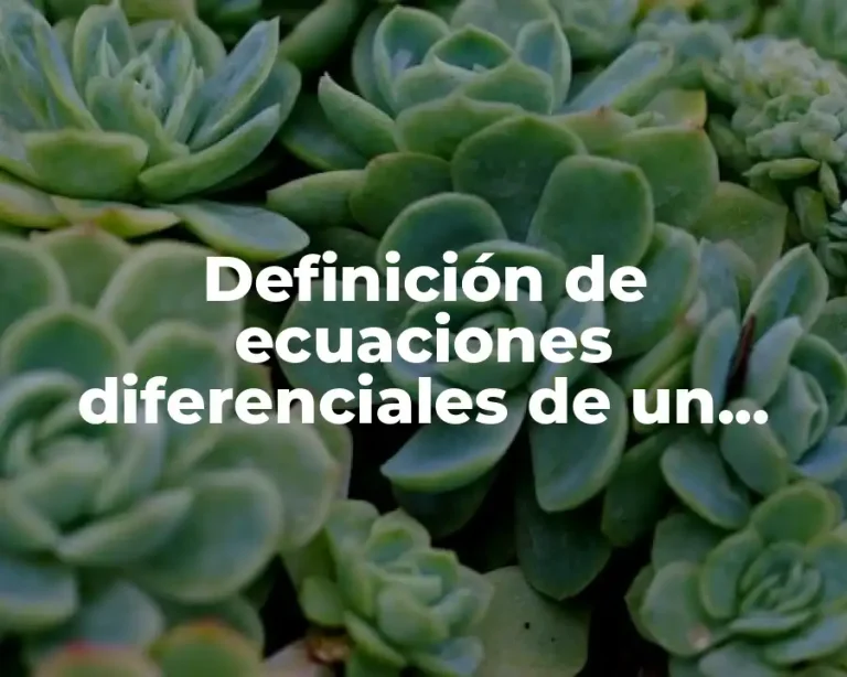 Definición de ecuaciones diferenciales de un modelo fisico