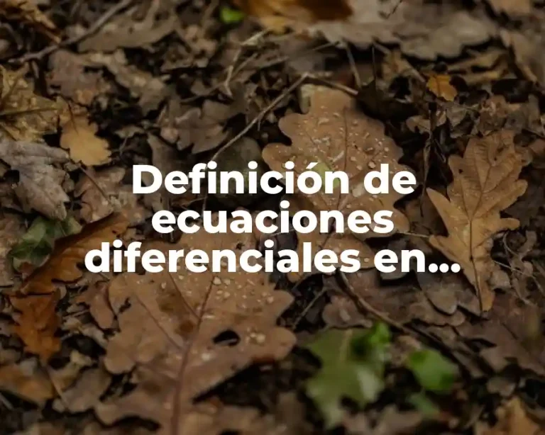 Definición de ecuaciones diferenciales en métodos numéricos