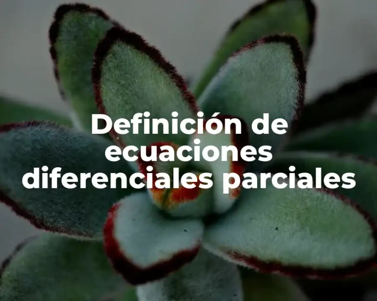 Definición de ecuaciones diferenciales parciales