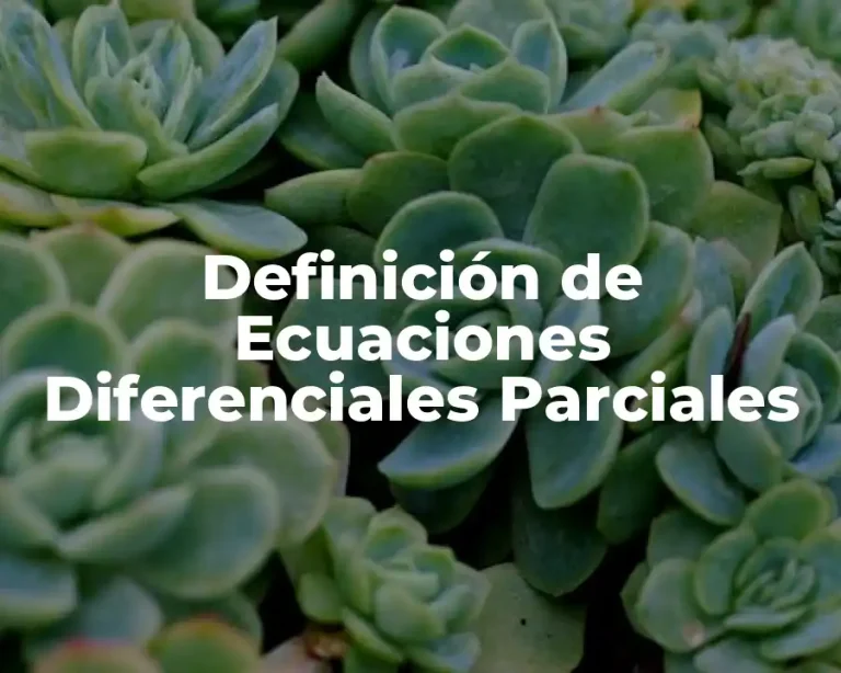 Definición de Ecuaciones Diferenciales Parciales