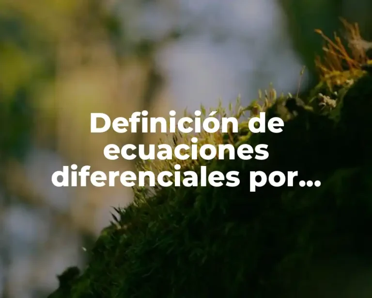 Definición de ecuaciones diferenciales por métodos de primer orden