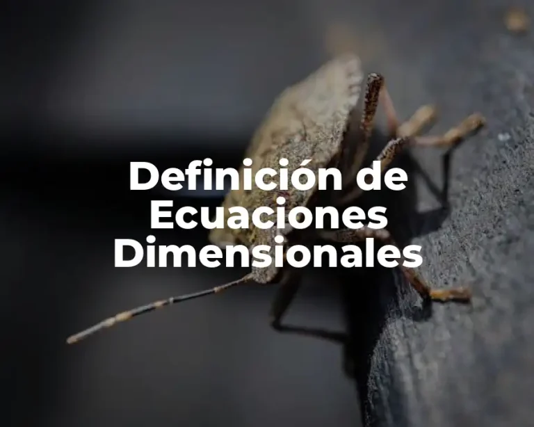 Definición de Ecuaciones Dimensionales