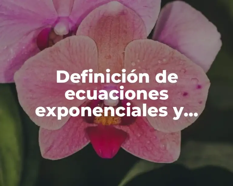 Definición de ecuaciones exponenciales y logaritmicas