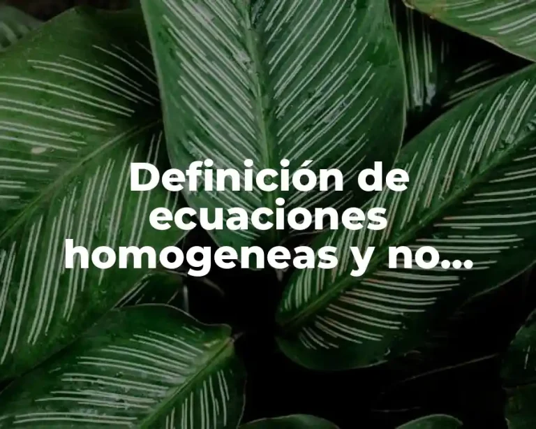 Definición de ecuaciones homogeneas y no homogeneas