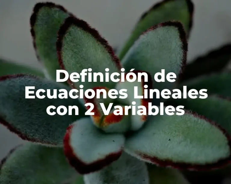 Definición de Ecuaciones Lineales con 2 Variables