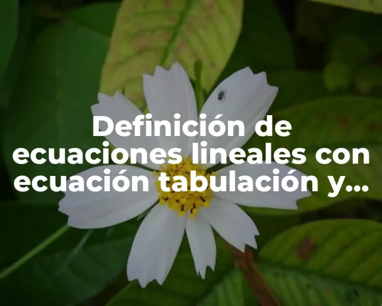 Definición de ecuaciones lineales con ecuación tabulación y graficación