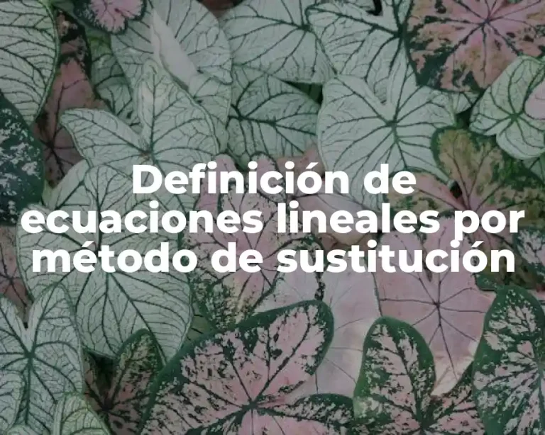 Definición de ecuaciones lineales por método de sustitución