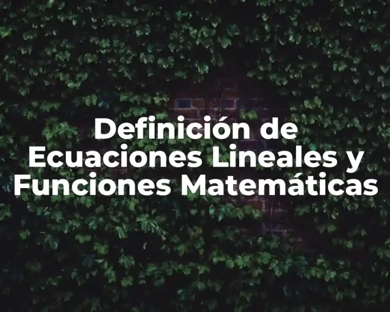 Definición de Ecuaciones Lineales y Funciones Matemáticas