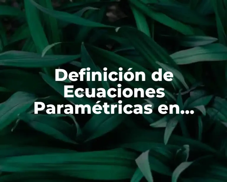 Definición de Ecuaciones Paramétricas en Dimensiones