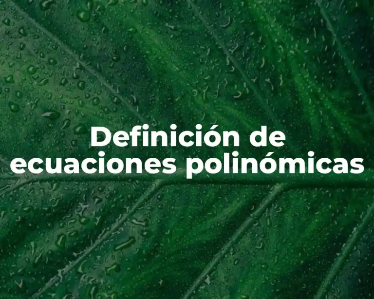 Definición de ecuaciones polinómicas