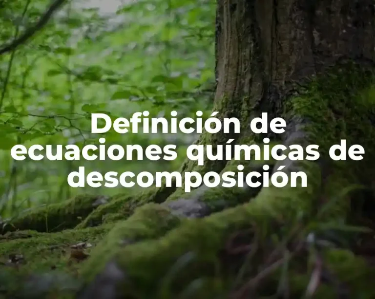Definición de ecuaciones químicas de descomposición