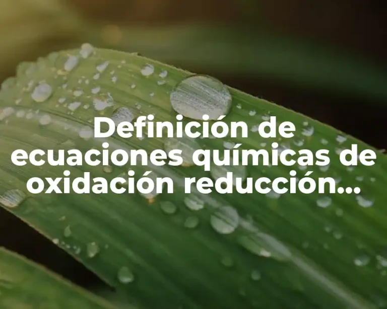 Definición de ecuaciones químicas de oxidación reducción cotidianos