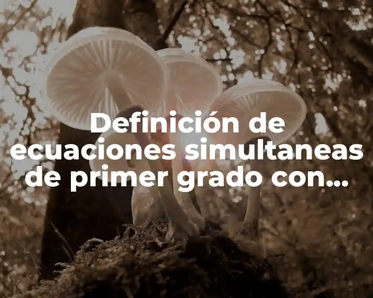 Definición de ecuaciones simultaneas de primer grado con tres incognitas