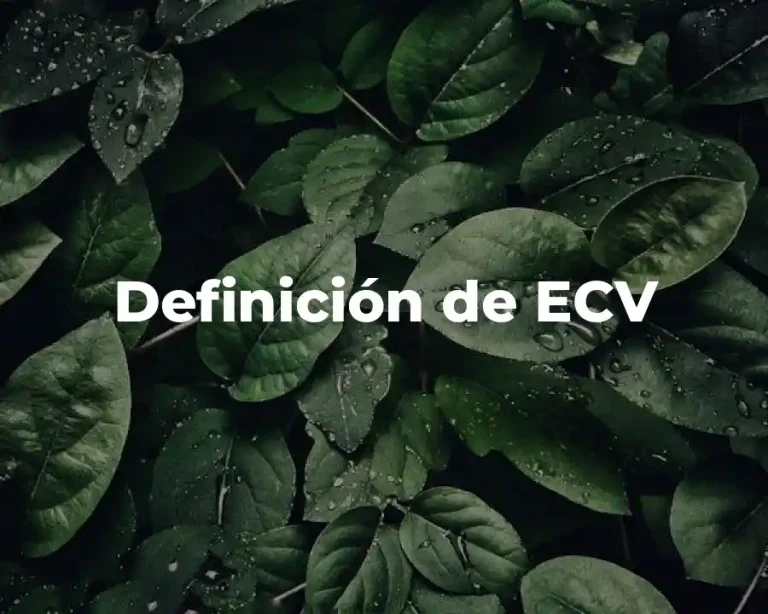 Definición de ECV
