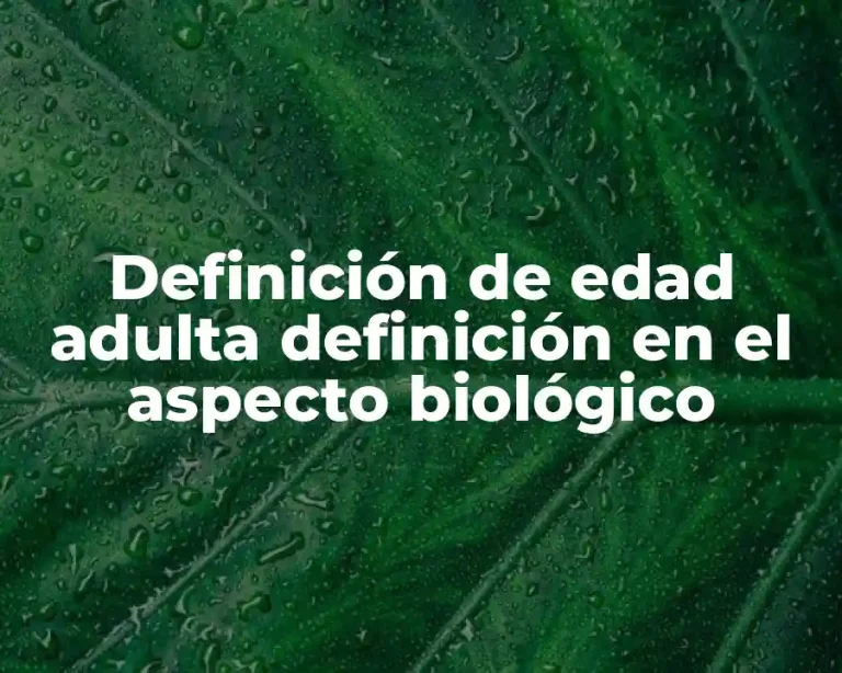 Definición de edad adulta definición en el aspecto biológico