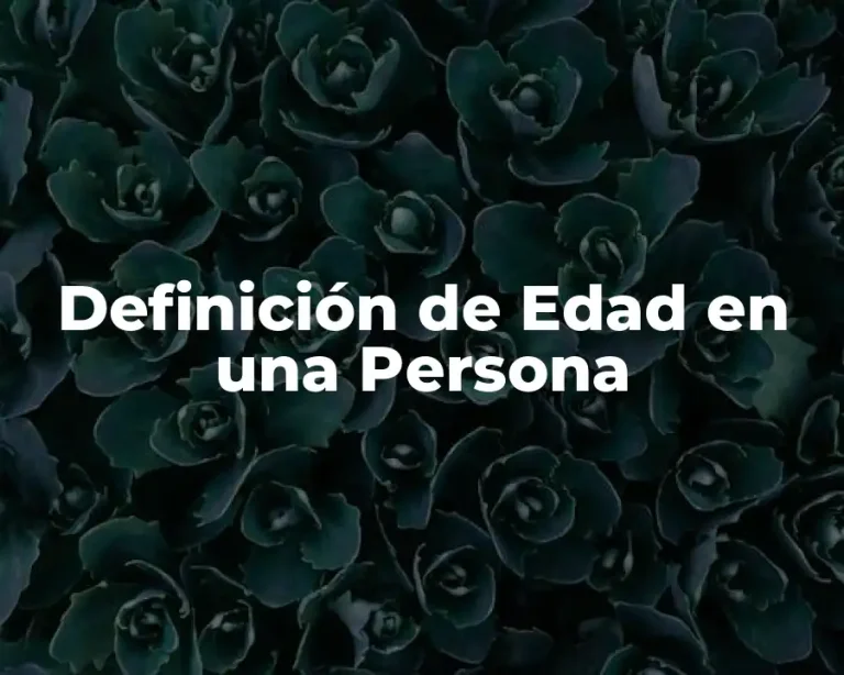 Definición de Edad en una Persona