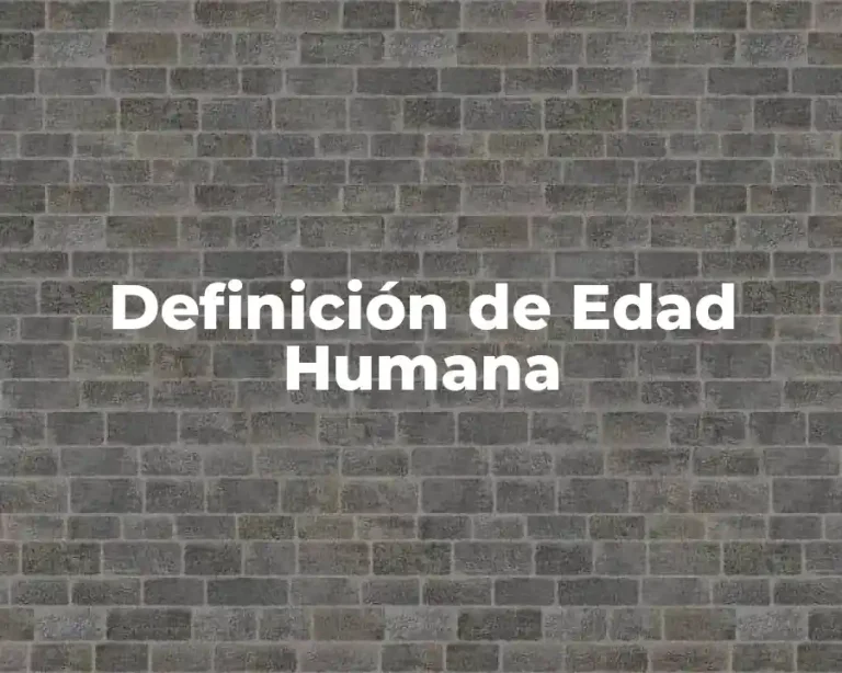 Definición de Edad Humana