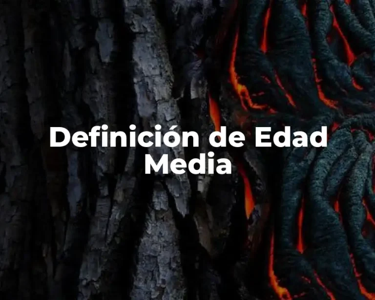 Definición de Edad Media