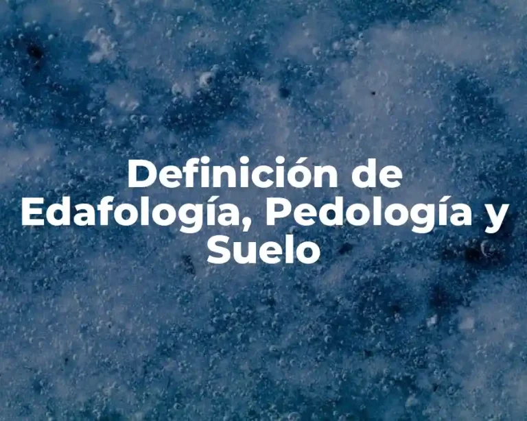 Definición de Edafología, Pedología y Suelo