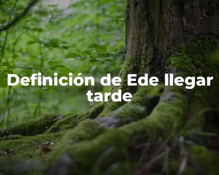 Definición de Ede llegar tarde