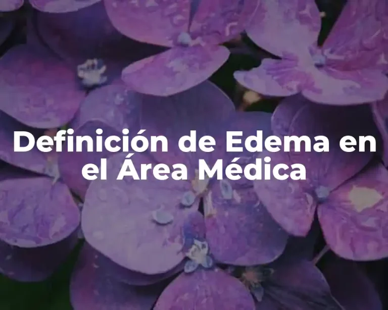 Definición de Edema en el Área Médica