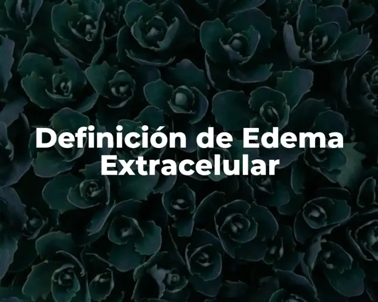 Definición de Edema Extracelular