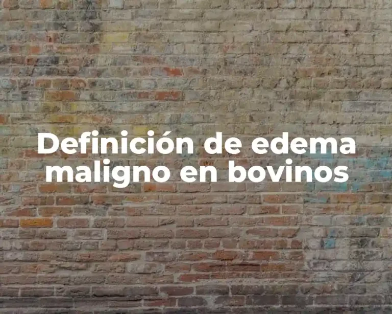 Definición de edema maligno en bovinos