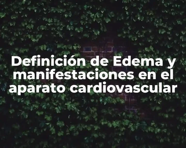 Definición de Edema y manifestaciones en el aparato cardiovascular