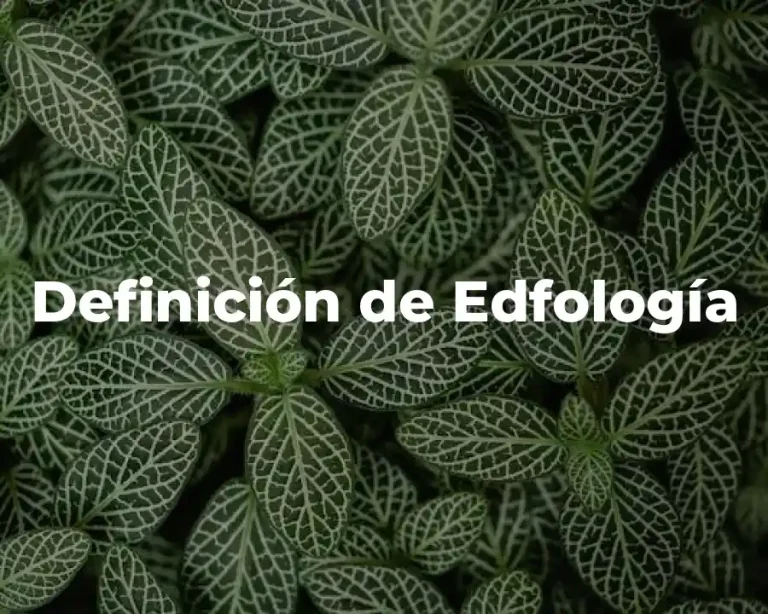 Definición de Edfología