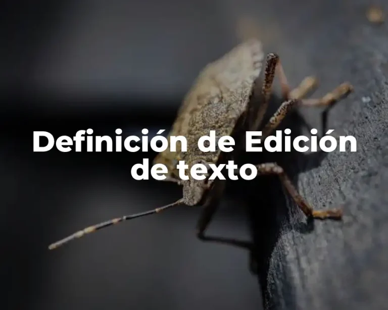 Definición de Edición de texto