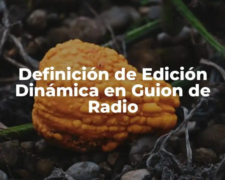 Definición de Edición Dinámica en Guion de Radio