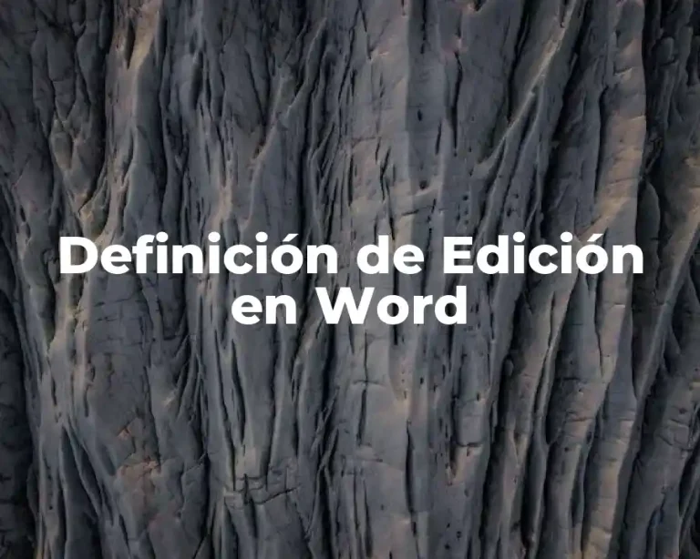 Definición de Edición en Word