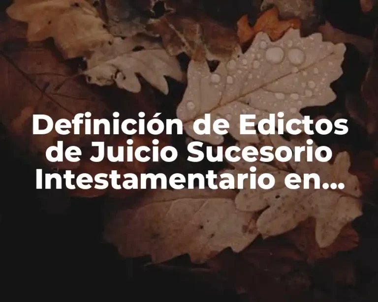 Definición de Edictos de Juicio Sucesorio Intestamentario en Puebla