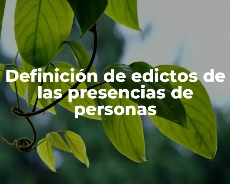 Definición de edictos de las presencias de personas