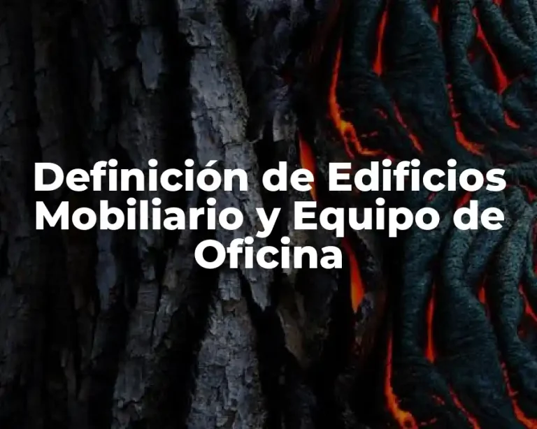 Definición de Edificios Mobiliario y Equipo de Oficina