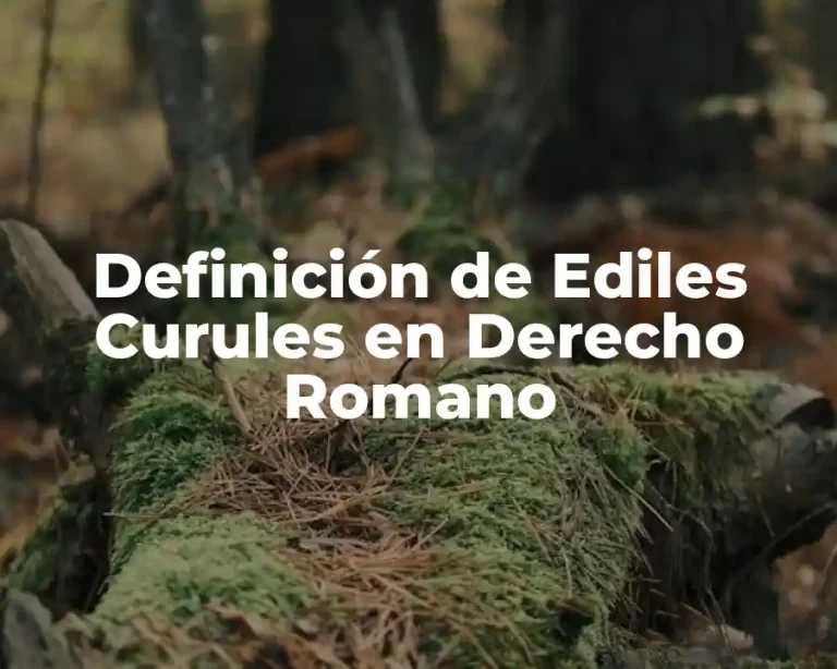 Definición de Ediles Curules en Derecho Romano