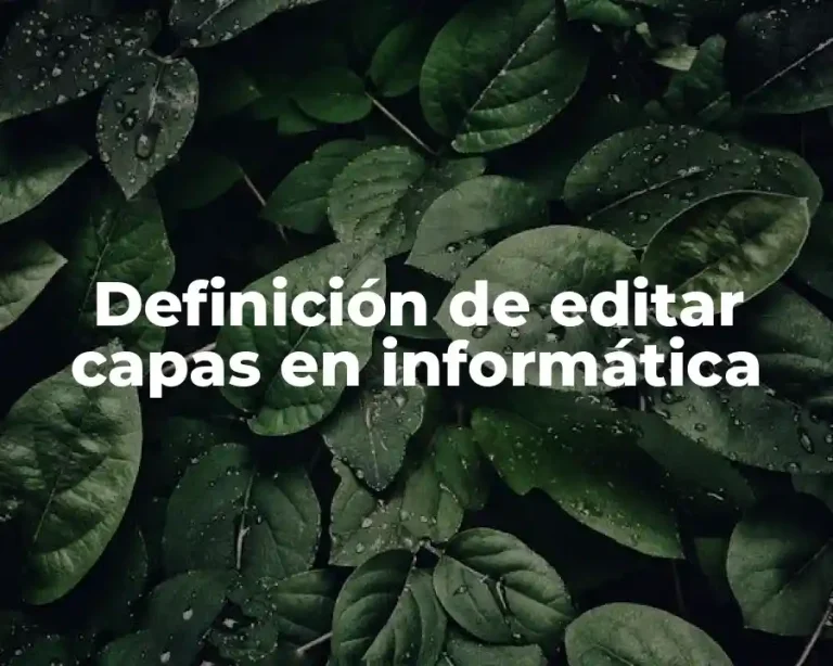 Definición de editar capas en informática