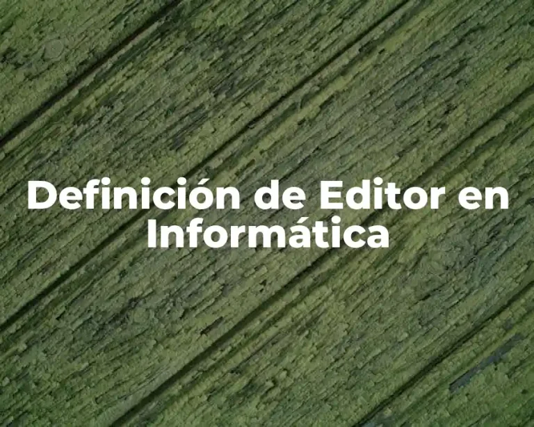 Definición de Editor en Informática