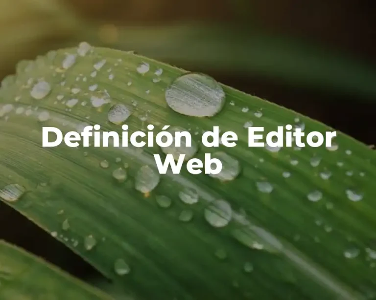 Definición de Editor Web