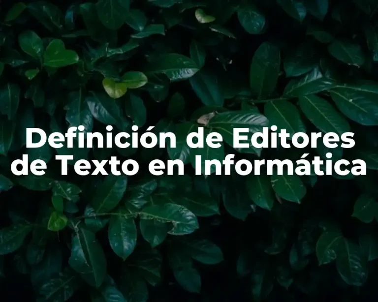 Definición de Editores de Texto en Informática
