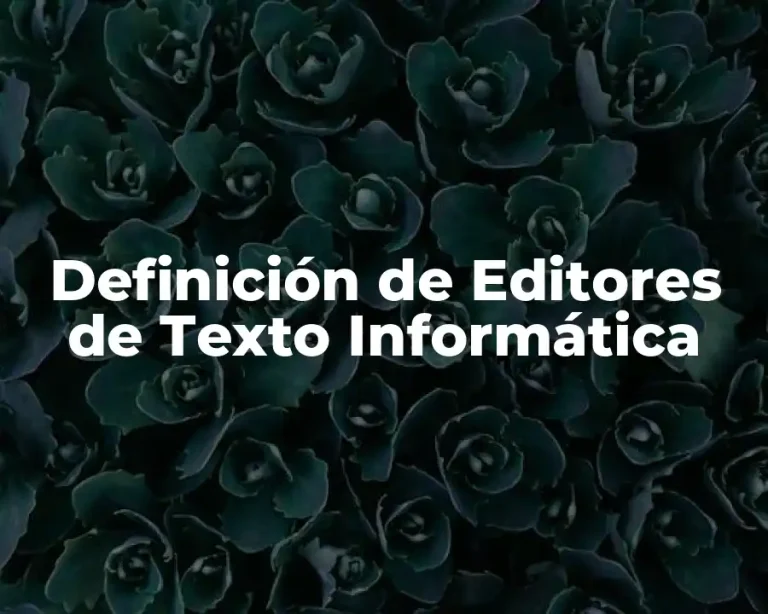 Definición de Editores de Texto Informática